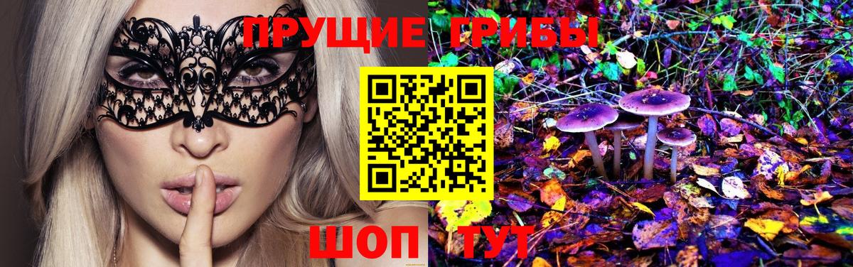 Псилоцибиновые грибы Psilocybe  Вход с VPN  Клинцы 